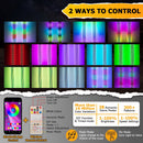 2pcs 2FT Fat COB RGB Whip Lights Spiral RGB Chasing Lighted Antenna Whips w/ Flags Fit UTV ATV Boats - WeiSen - 80204016