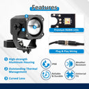 Whipless RGBW LED Whip Light w/1.5 - 2" Round Tube Clamp | Wireless Remote Control | 9 Modes | Waterproof | for ATV UTV Truck Jeep SUV Golf Cart - WeiSen - 80204019