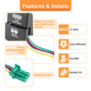 Toyota Tacoma 4Runner Tundra LED Backlight Dual Push Button Switch - WeiSen - 70204033